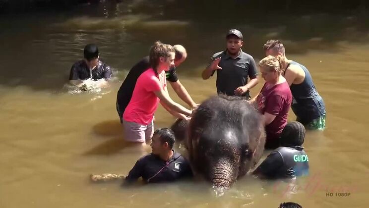 Amateur Outdoor Action with Elena Koshka - You Won't Miss This!