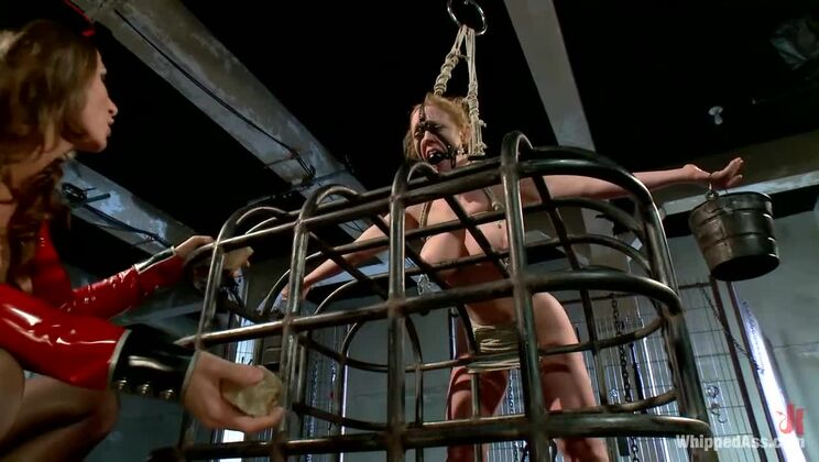 Ariel Carmine's BDSM Domination: Dee Williams in Anal Surrender