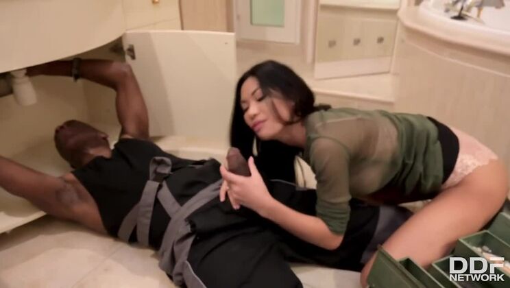 Polly Pons Gets Pierced by Plumber's Big Cock