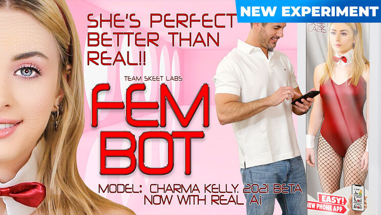 Crazy Fembots: A Concept