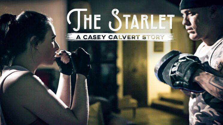 The Anal Starlet: Casey Calvert's Story
