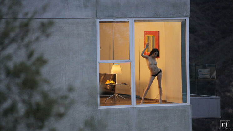 Brunette, Beautiful and Alone - Aiden Ashley