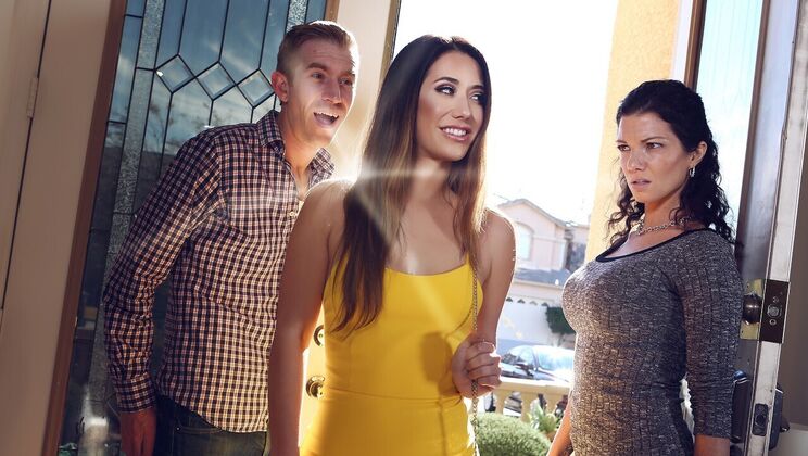 The Perfect Porn Experience