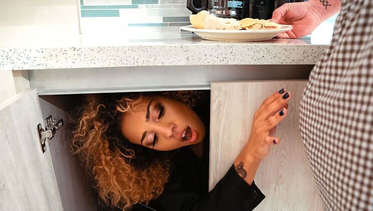 The Burglar Gets Owned