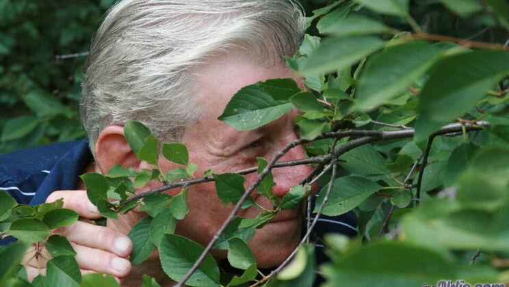 Young Boobarella and Older Barney in Sex